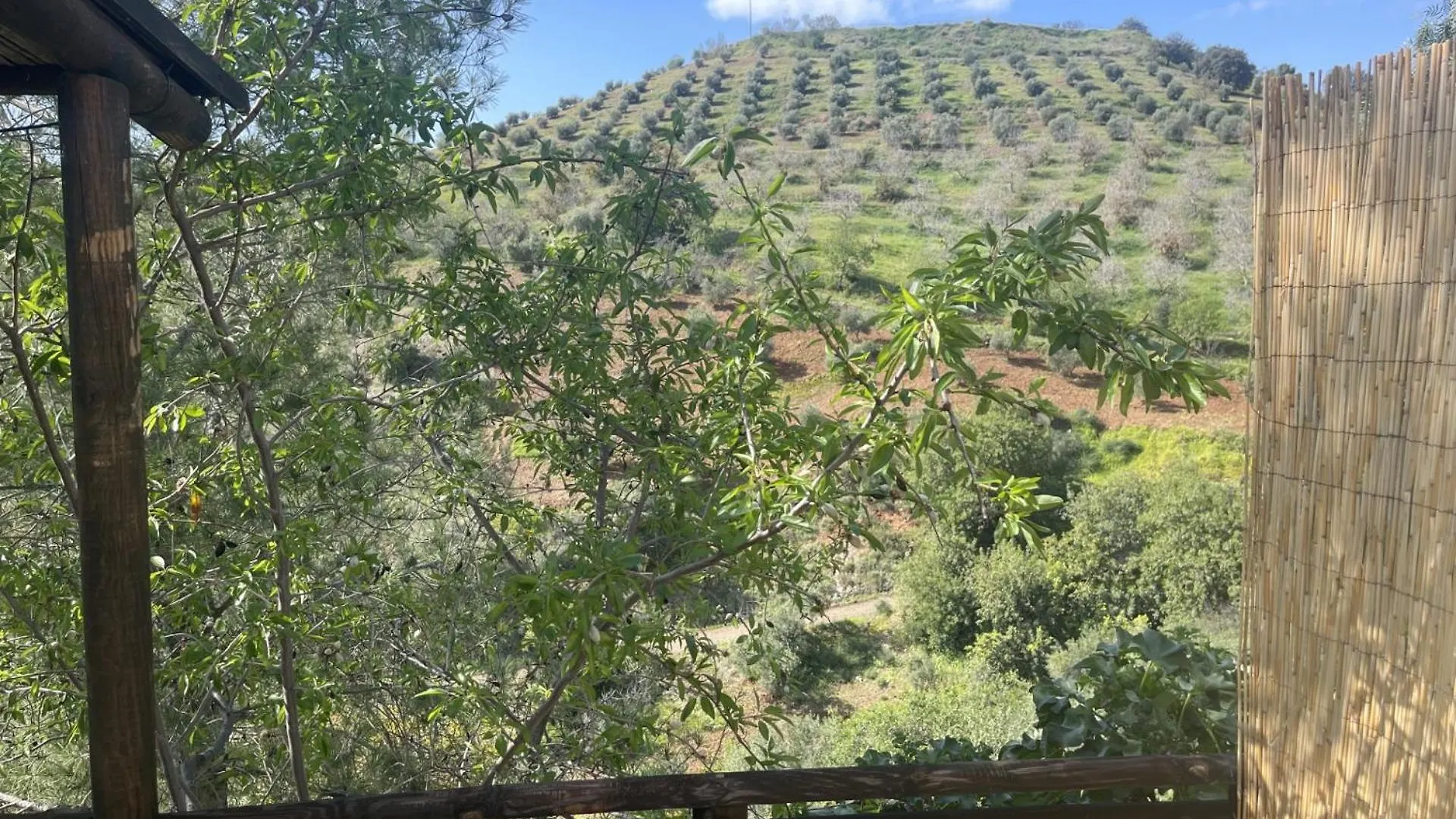 Bed & Breakfast B&B Sol Y Monte Alora Spain