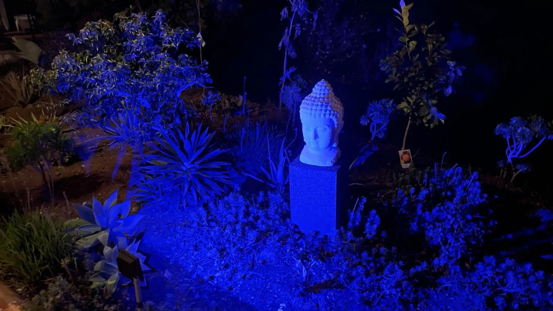 B&B Sol Y Monte Alora Bed & Breakfast